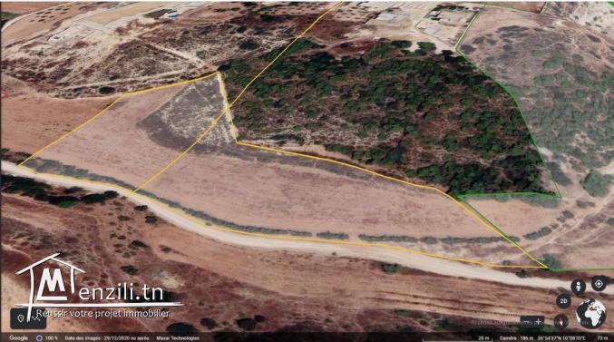 Avendre terrain a borj touil