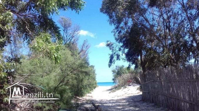 Maison et des appartements a louer 20 mètre de la plage ghar melh sidi Ali makki 54403460