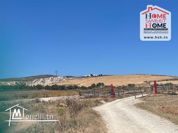 Terrain Tropical à Vendre à Mnihla