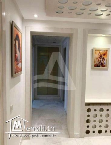 location d'un luxueux appartement s+3 meublé au lac 2