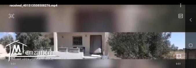 Propriété et terrain a vendre Tazarka