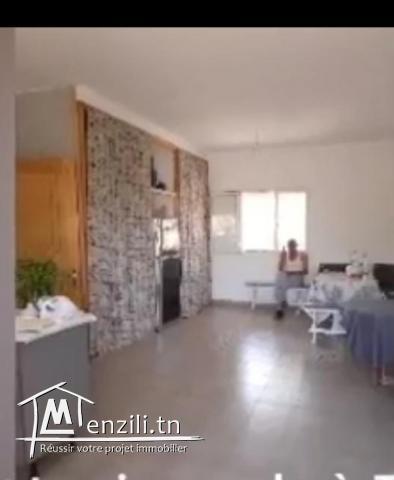 Propriété et terrain a vendre Tazarka