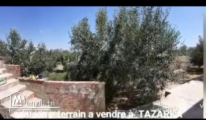 Propriété et terrain a vendre Tazarka