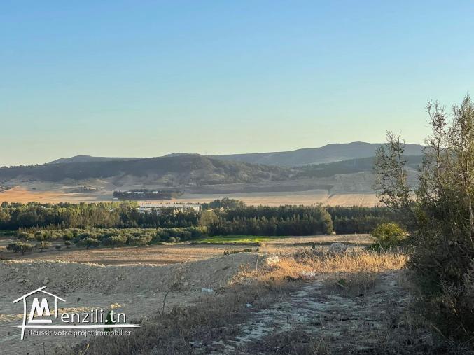 Terrain de 1730 m2 (nabeul)(prix mègociable)