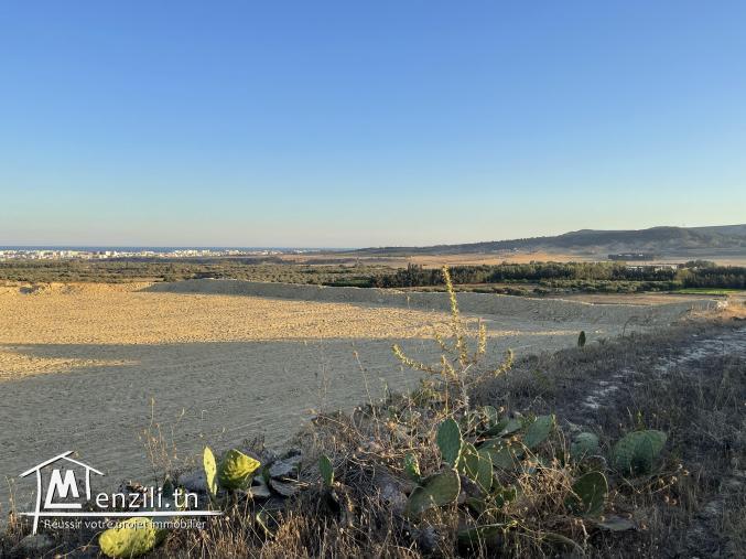 Terrain de 1730 m2 (nabeul)(prix mègociable)