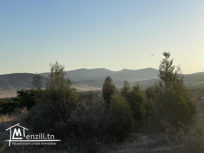 Terrain de 1730 m2 (nabeul)(prix mègociable)