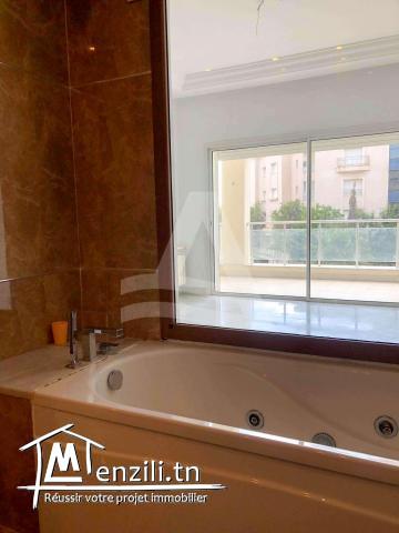 Location Appartement S+3 au lac