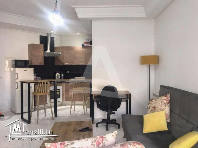 Location Appartement s+1 meublé au lac 2