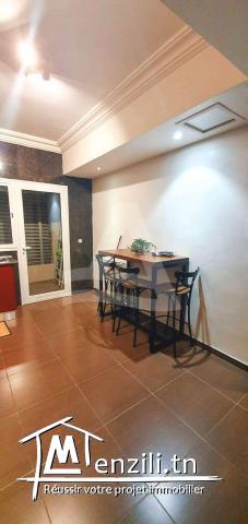 Location Appartement S+3 meublé au lac 2