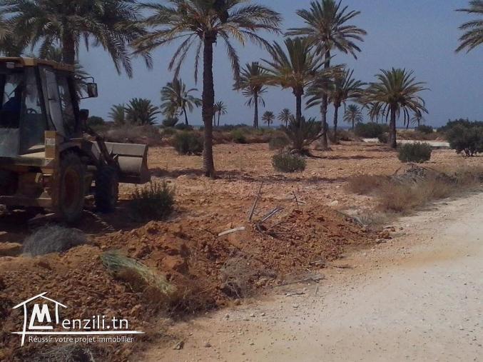 VENTE TERRAIN A KERKENNAH