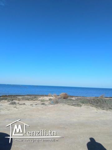 VENTE TERRAIN A KERKENNAH