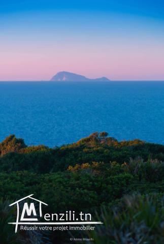 Une villa de vacances à 900m de la plage, Rtiba