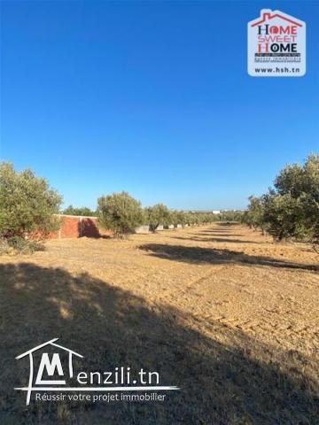 Terrain Villa Chili à Vendre à Monchar