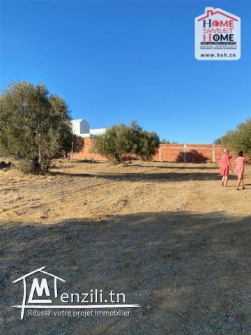 Terrain Villa Chili à Vendre à Monchar