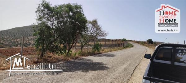 Terrrain Agricole Villagio à Vendre à Sidi Thabet
