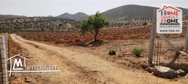 Terrrain Agricole Villagio à Vendre à Sidi Thabet