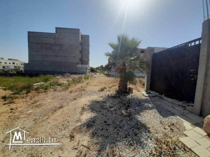 maison a la marsa rdc r+2