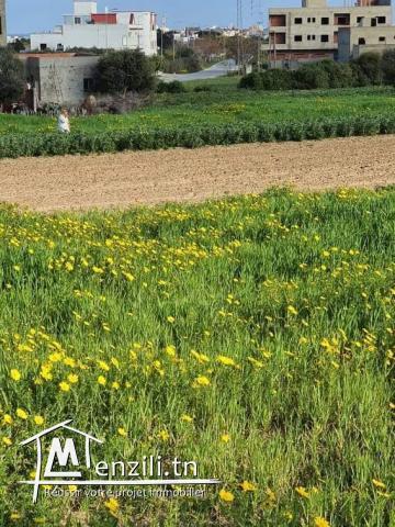 Terrain à hammam ghzeze