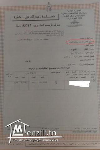 Terrain a tres bon prix