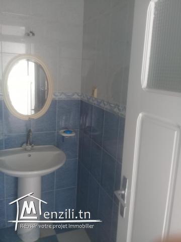 Avendre une gronde maison et un appartement