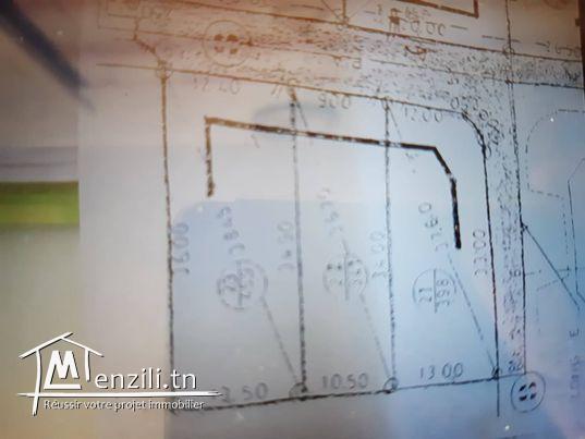 A vendre: Terrain à Tormous Mahdia, 341 m2