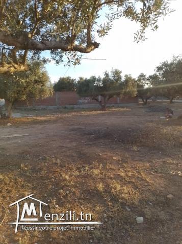 Terrain à vendre à Borj  Touil