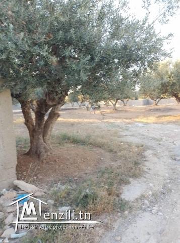 Terrain à vendre à Borj  Touil