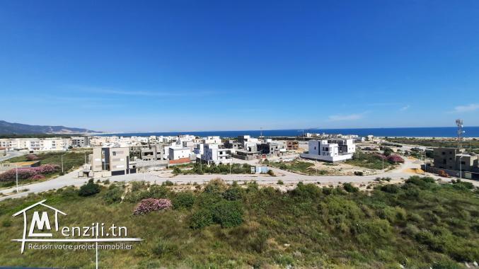 a vendre un joli appartement