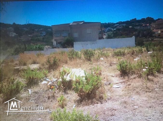Terrain de 768 m2 - "Larmel" Tabarka / بيع ارض للبناء" لرمال طبر�...