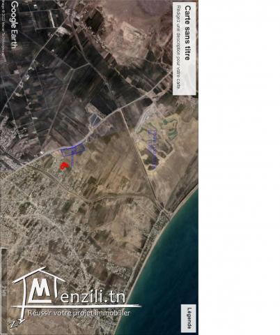 lots de 150 à 250m2 Raoued