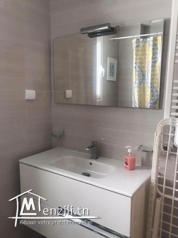 Location Appartement S+2 meublé au lac 2