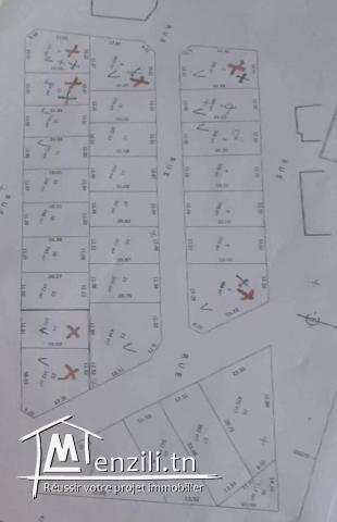 Avendre terrain 267m2 et 300m2 à chatt mariem