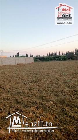 Terrain Promoteur Nelig à Vendre à Boumhal