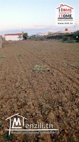 Terrain Promoteur Nelig à Vendre à Boumhal