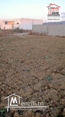 Terrain Promoteur Nelig à Vendre à Boumhal