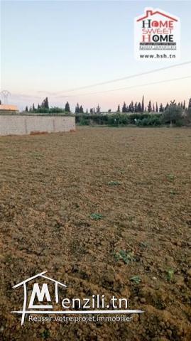Terrain Promoteur Nelig à Vendre à Boumhal
