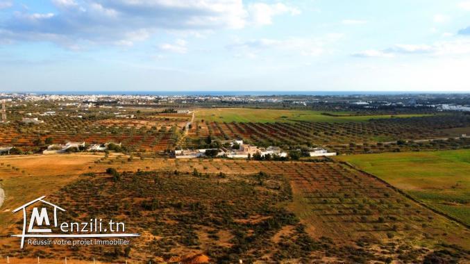 Projet de lotissement vue sur mer Hammamet