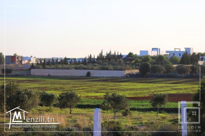 Projet de lotissement vue sur mer Hammamet