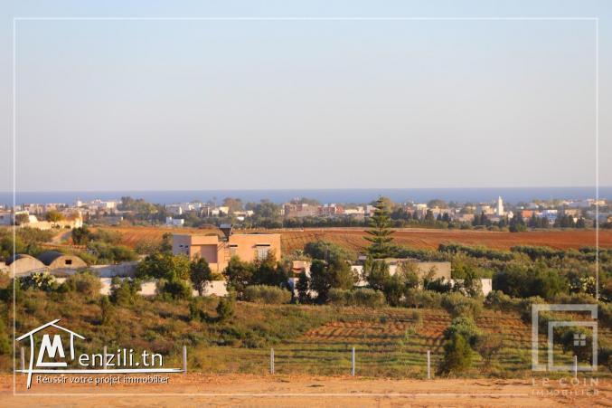Projet de lotissement vue sur mer Hammamet