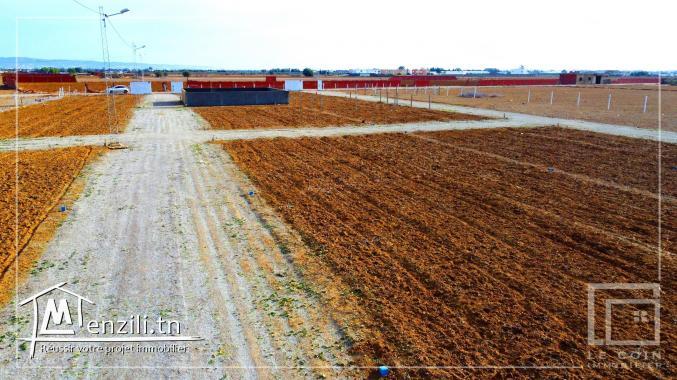 مشروع تقسيم ياسمين الحمامات