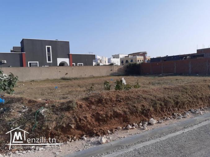 A vendre: Terrain à Tormous Mahdia, 459 m2