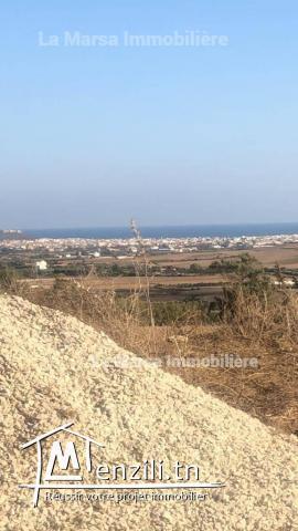 A Vendre des lotsde terrain de 5000m²n Tamazret Kelibia