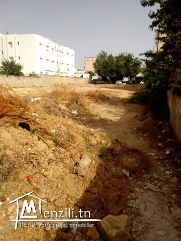Terrain à vendre cité Milaha.nouvelle ariana