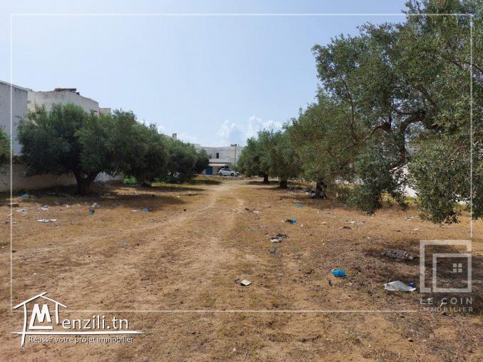 terrain constructible à vendre