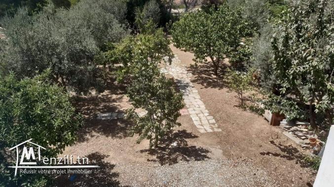 Villa duplex avec jardin et petite Senia