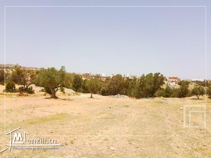 terrain constructible à Hammamet nord