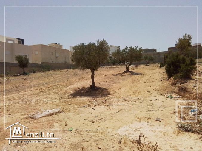 terrain constructible à Hammamet nord