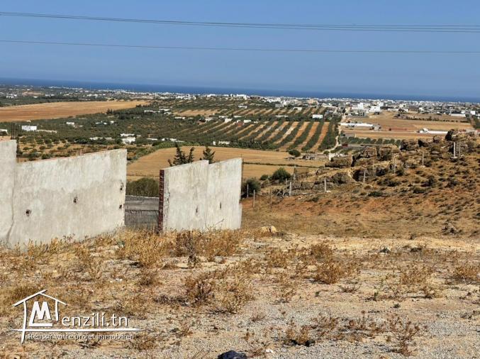 ارض في المنشار مسجلة