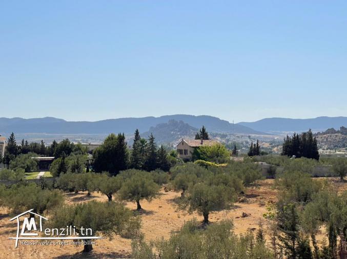 ارض في المنشار مسجلة