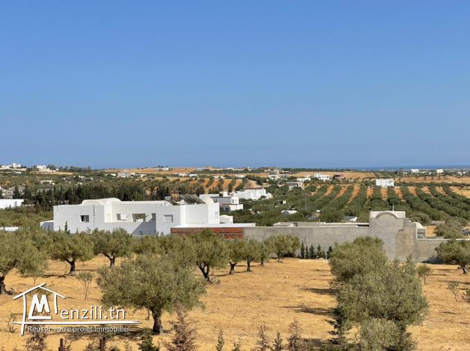 ارض في المنشار مسجلة